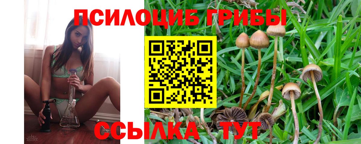 A PVP Дубна